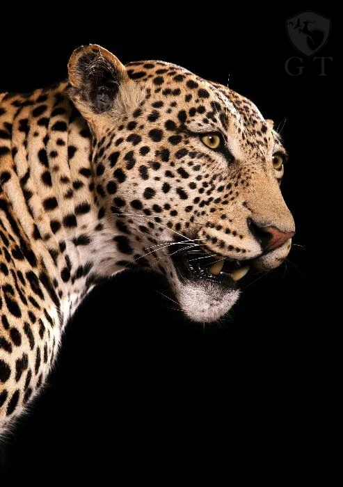 EAFE0073
