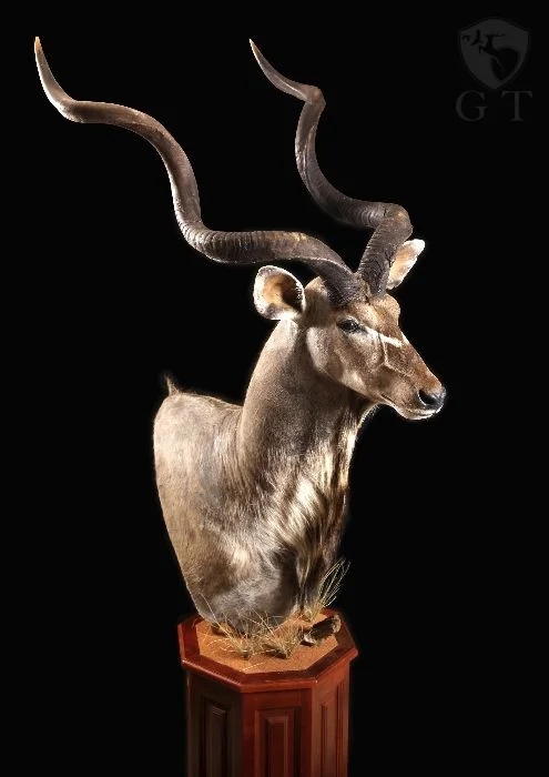 EAFF0056