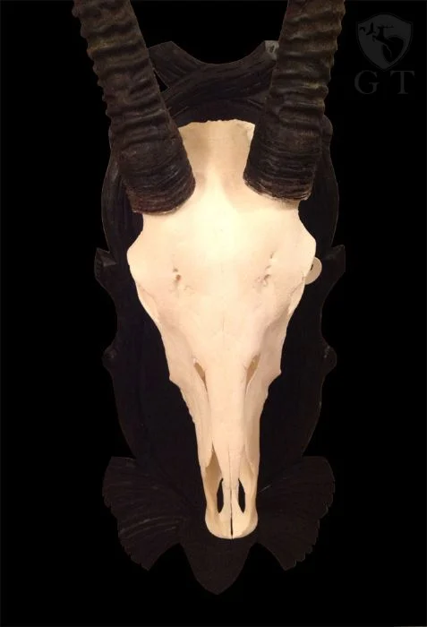 TR0001